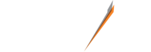 GOVIG_logo_white-300x104